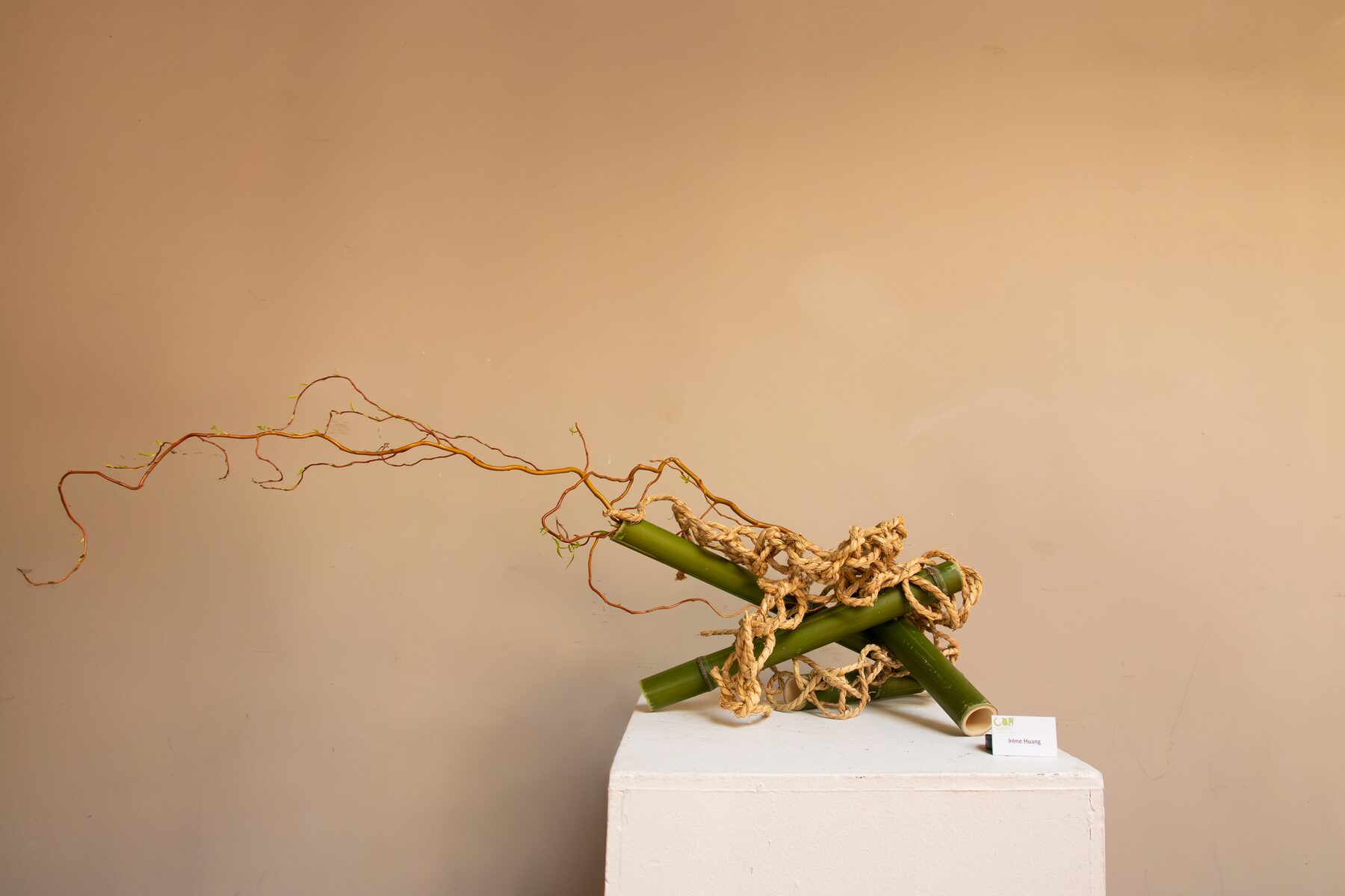 Sogetsu ikebana arrangement on a white plinth