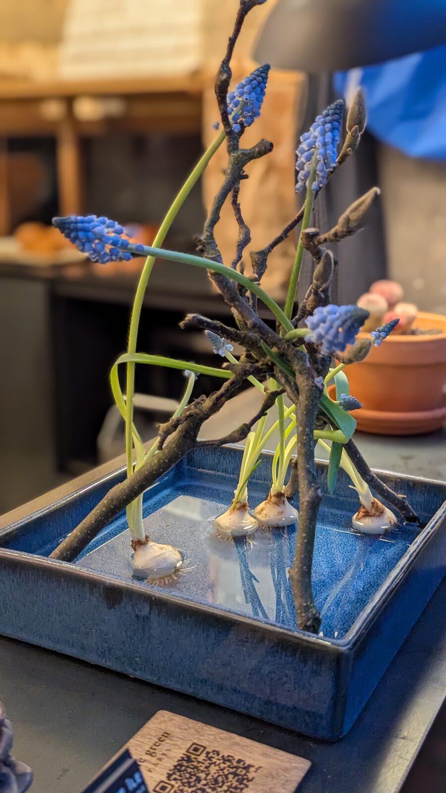 Blue and green ikebana study in a low vessel